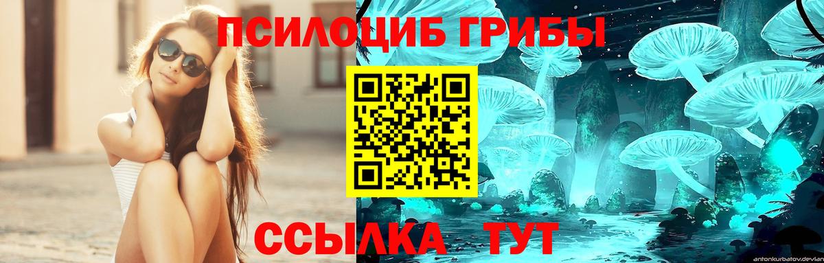 Псилоцибиновые грибы Psilocybe  Вход с VPN  Сухой Лог  Галлюциногенные грибы Magic Shrooms 