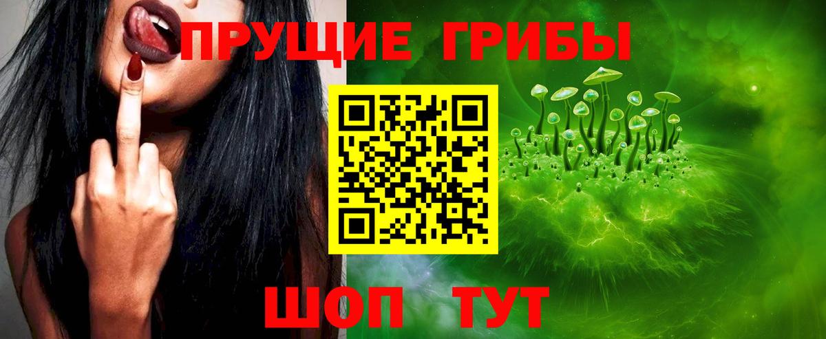 Псилоцибиновые грибы прущие грибы Сухой Лог